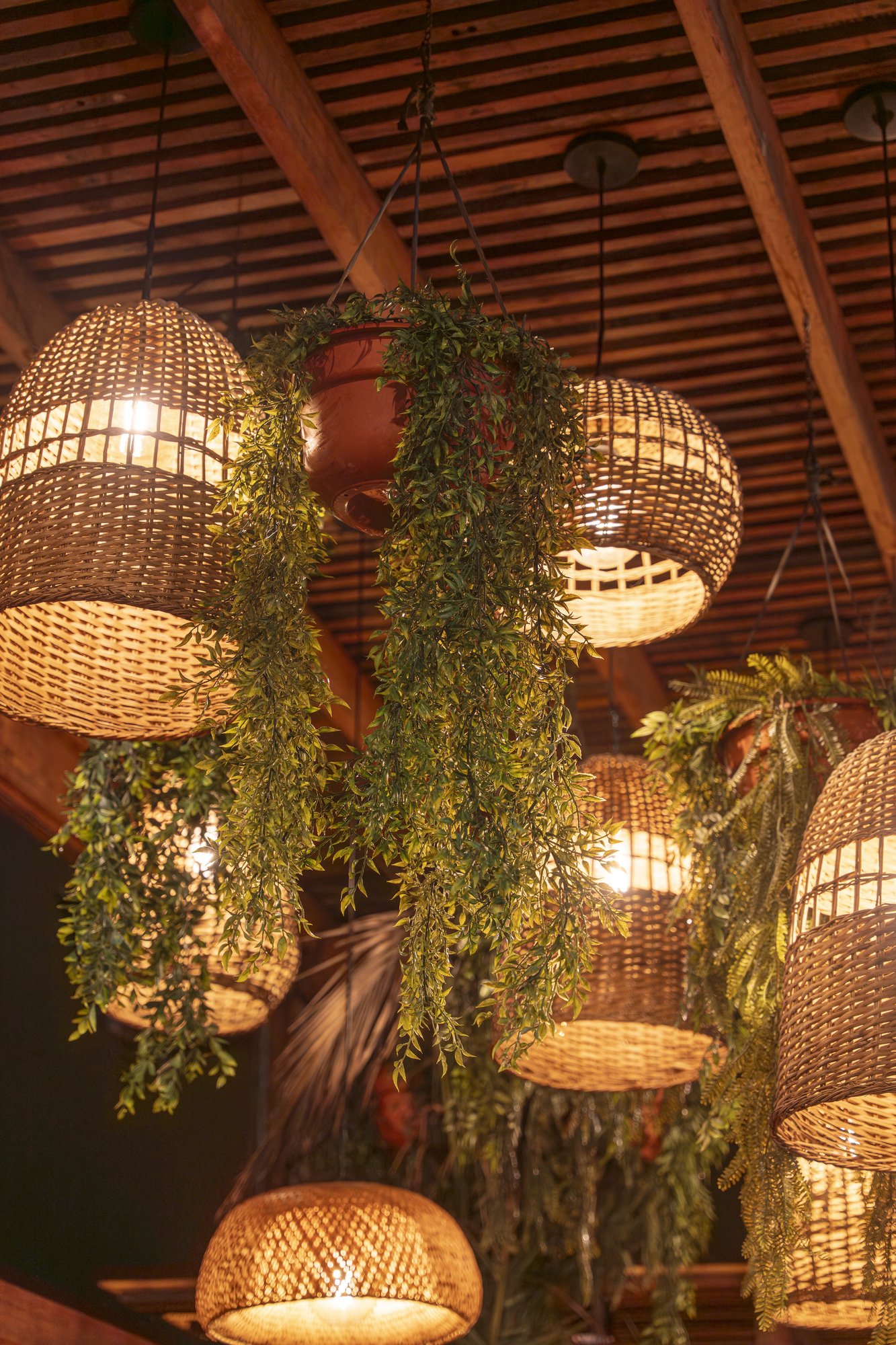 Club Terrazas — Makaha Sunset — 26